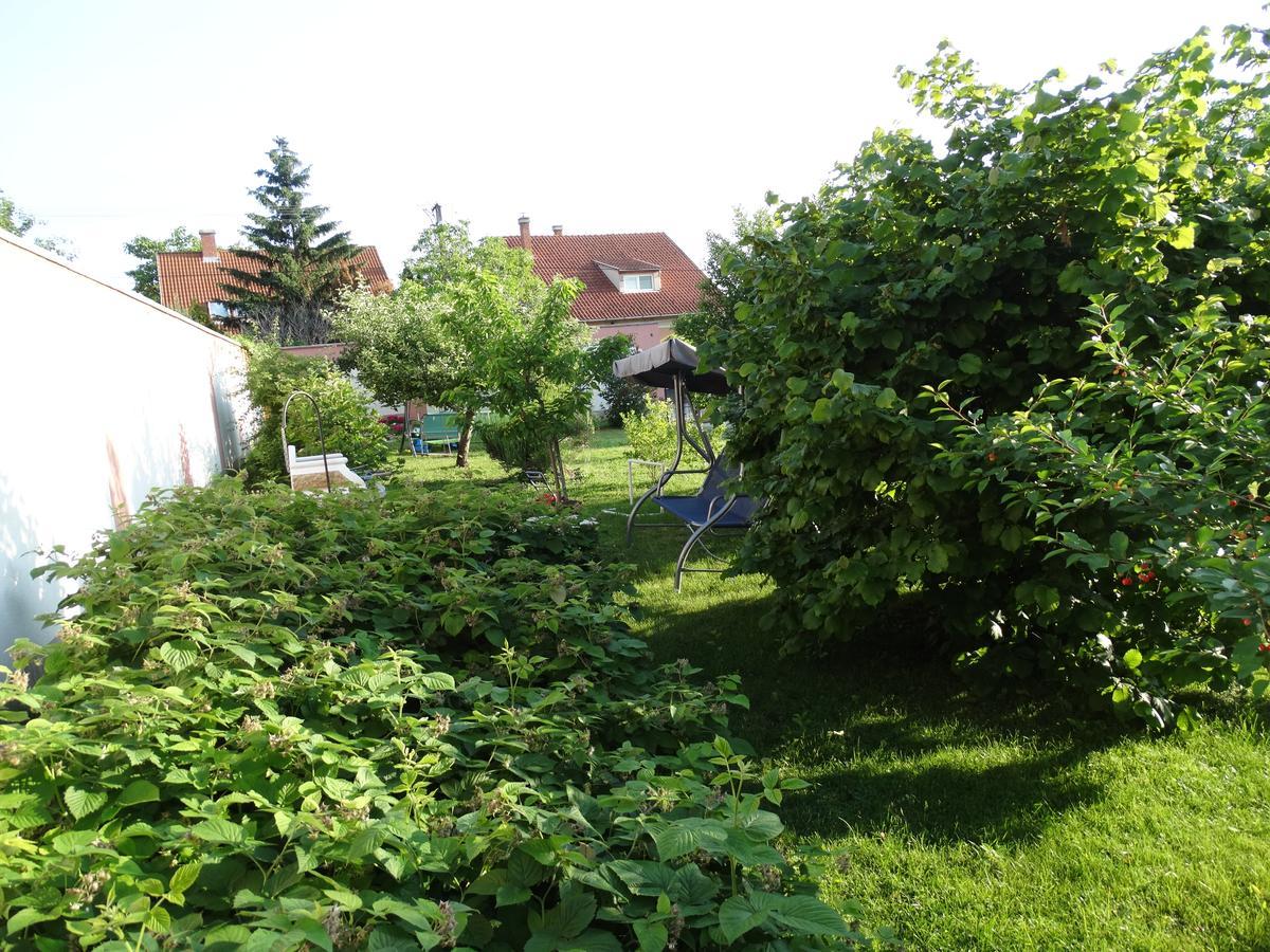 Budai Panzio Alba Regalǎ Exterior foto